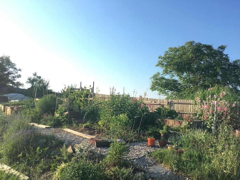 Vila Wohlfuehlhaus Mit Grossem Garten Zgornja Kungota Exteriér fotografie