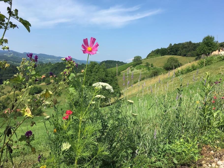 Vila Wohlfuehlhaus Mit Grossem Garten Zgornja Kungota Exteriér fotografie