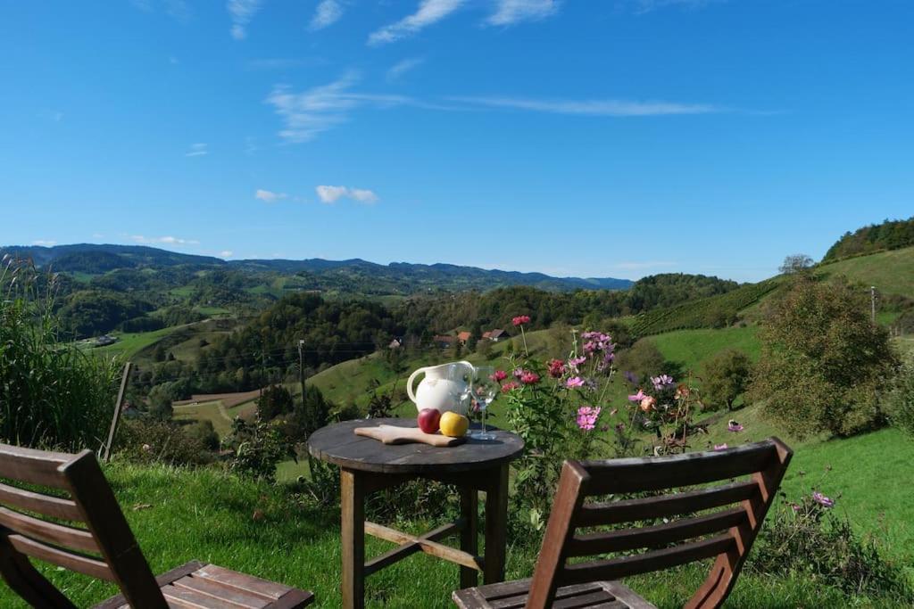 Vila Wohlfuehlhaus Mit Grossem Garten Zgornja Kungota Exteriér fotografie