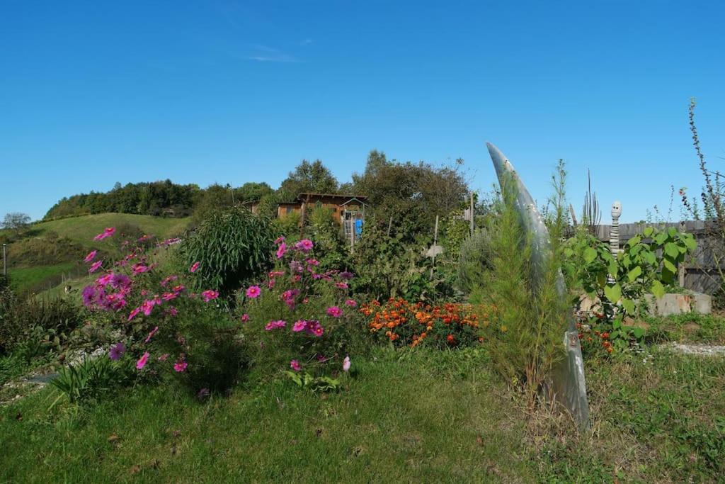 Vila Wohlfuehlhaus Mit Grossem Garten Zgornja Kungota Exteriér fotografie