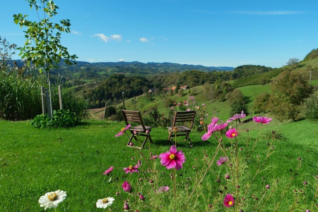 Vila Wohlfuehlhaus Mit Grossem Garten Zgornja Kungota Exteriér fotografie